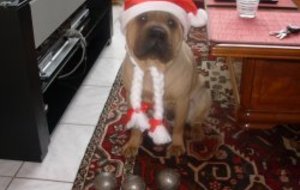 Joyeux NOEL à tous !