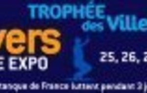 Le Trophée des villes 2011...
