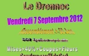 Rassemblement Vétérans au Drennec ...