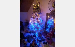 MEILLEURS VOEUX    !