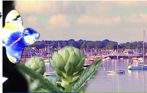 1er tour TROPHEE VETERANS 2018 