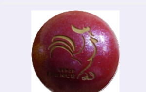 Communiqué F.F.P.J.P sur les tenues vestimentaires