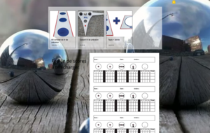 LE TIR DE PRECISION  ....