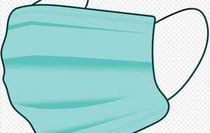 Port du masque obligatoire à Brest ...