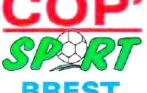 Offre Promo de fin d'année sur les boules...