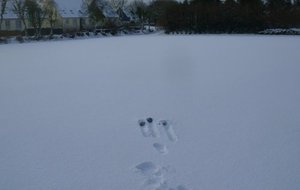 DSCN0104.JPG