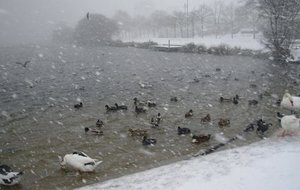 DSCN0110.JPG