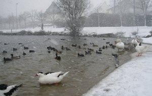 DSCN0111.JPG