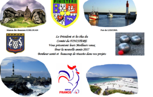 5874a3a54bd33_CartevoeuxCD29.png
