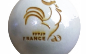 PLOUDALMEZEAU - Secteur Doublettes