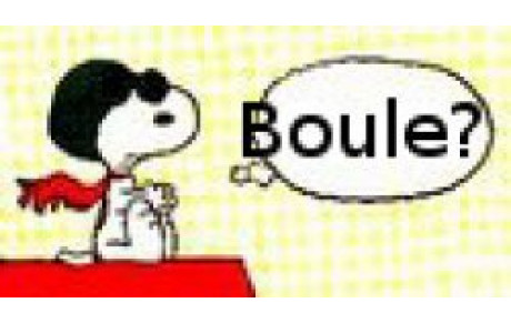 Echange de BOULE...