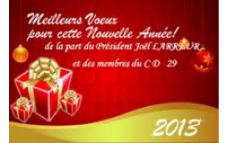 Voeux 2013 - CD FINISTERE FFPJP 